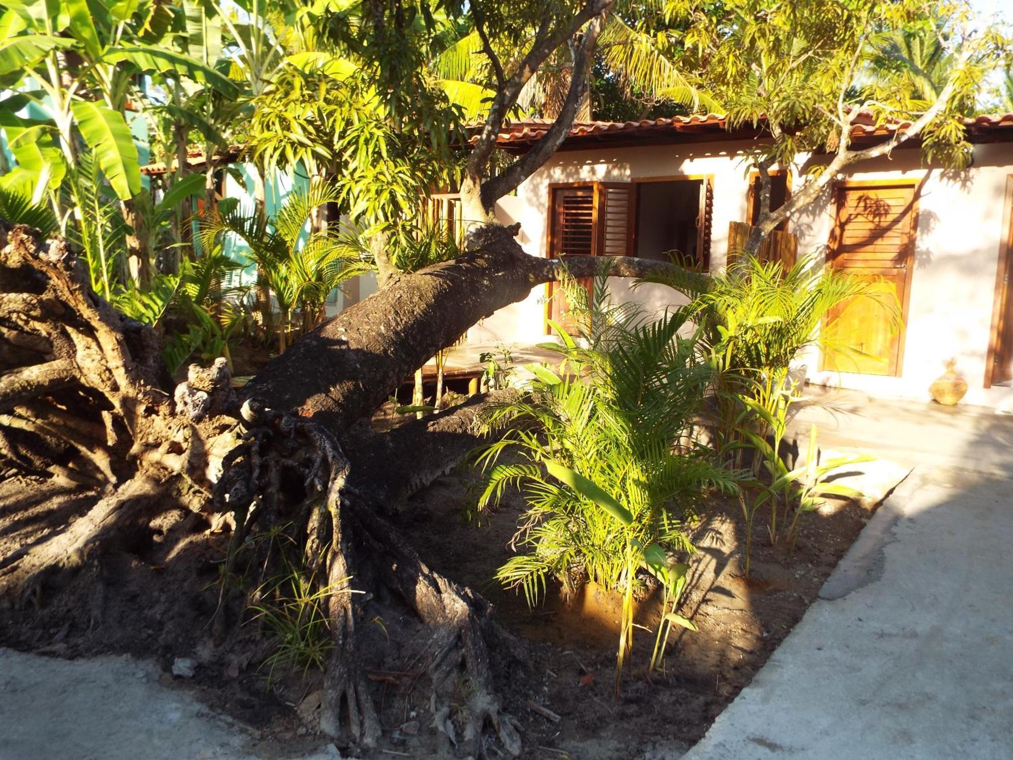 Jardim Uixa Villa Velha Boipeba Kültér fotó