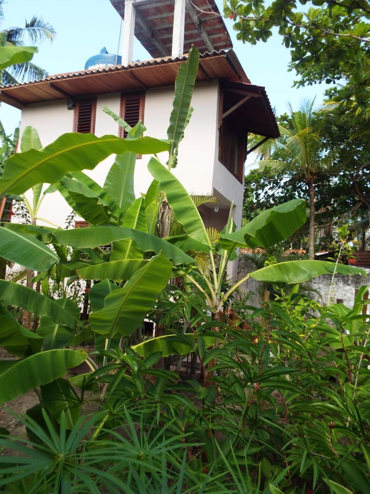 Jardim Uixa Villa Velha Boipeba Kültér fotó